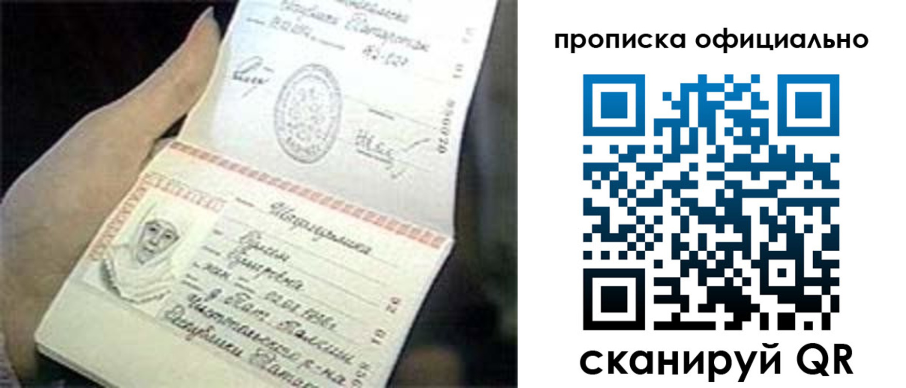 прописка поиск в Апатитах